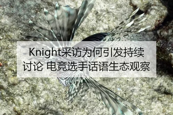 Knight采访为何引发持续讨论 电竞选手话语生态观察